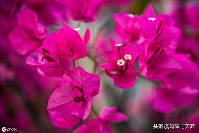 ������ȫ45�����ղ�������ʲô���������ã��͸�������������