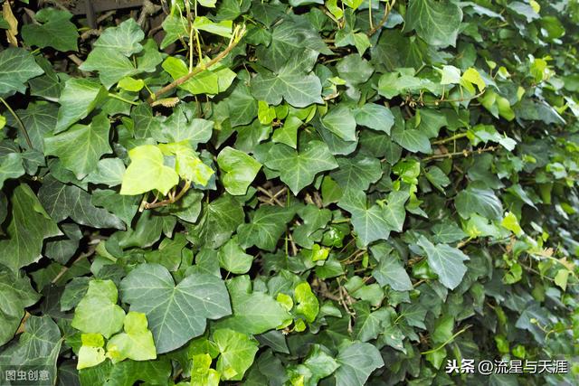 ������ȫ45�����ղ�������ʲô���������ã��͸�������������