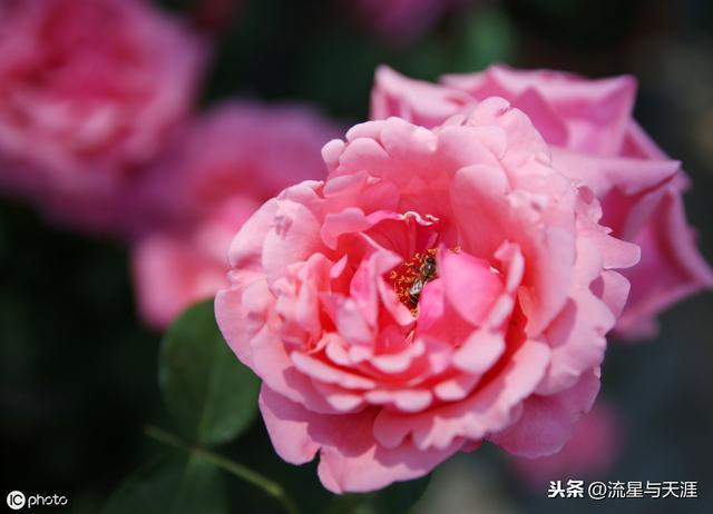 ������ȫ45�����ղ�������ʲô���������ã��͸�������������