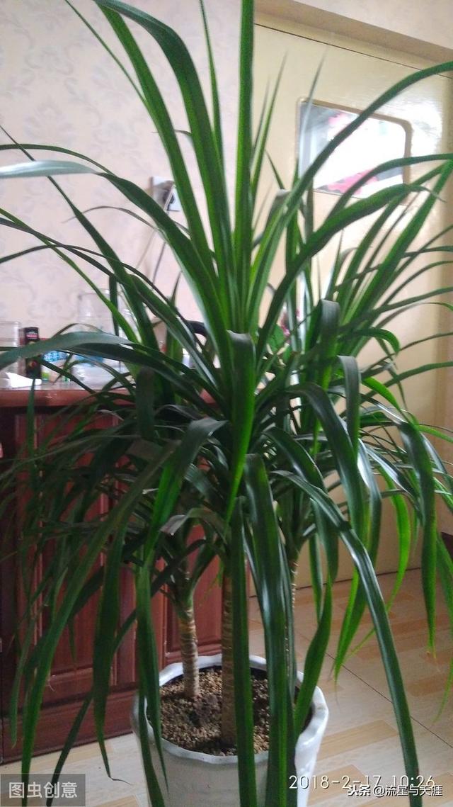 ������ȫ45�����ղ�������ʲô���������ã��͸�������������