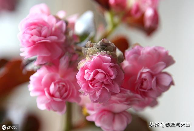 ������ȫ45�����ղ�������ʲô���������ã��͸�������������