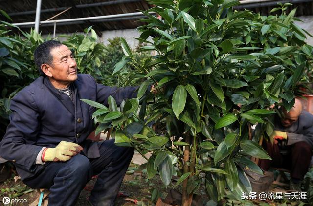 ������ȫ45�����ղ�������ʲô���������ã��͸�������������