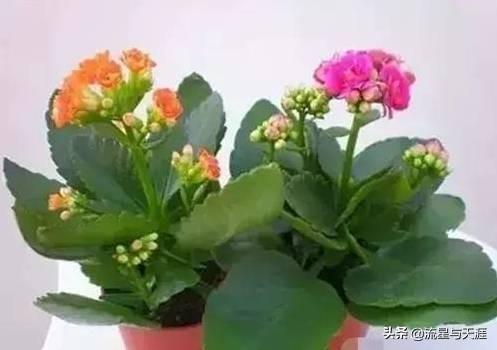 ������ȫ45�����ղ�������ʲô���������ã��͸�������������