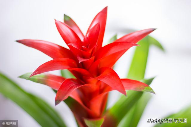 ������ȫ45�����ղ�������ʲô���������ã��͸�������������