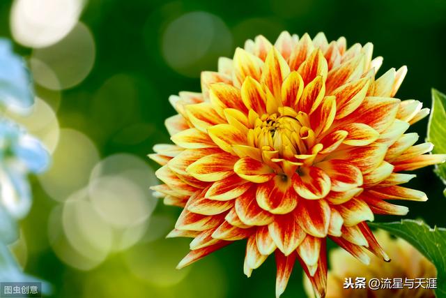 ������ȫ45�����ղ�������ʲô���������ã��͸�������������