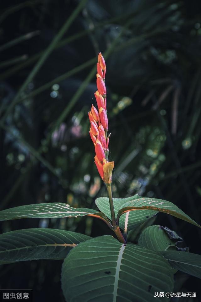 ������ȫ45�����ղ�������ʲô���������ã��͸�������������