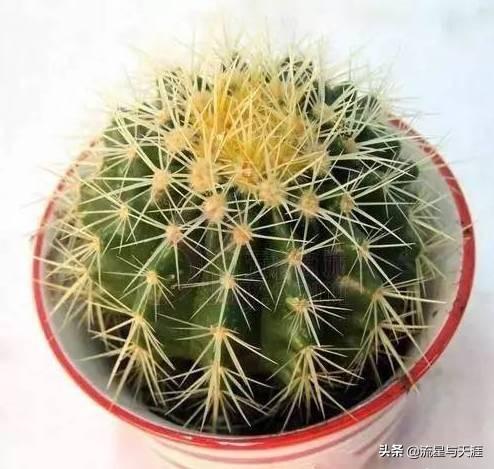 ������ȫ45�����ղ�������ʲô���������ã��͸�������������