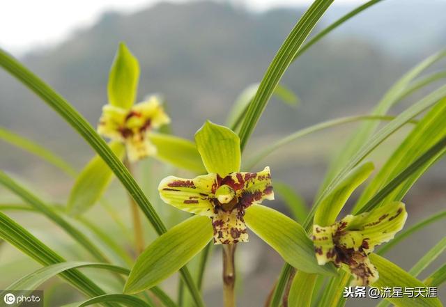 ������ȫ45�����ղ�������ʲô���������ã��͸�������������