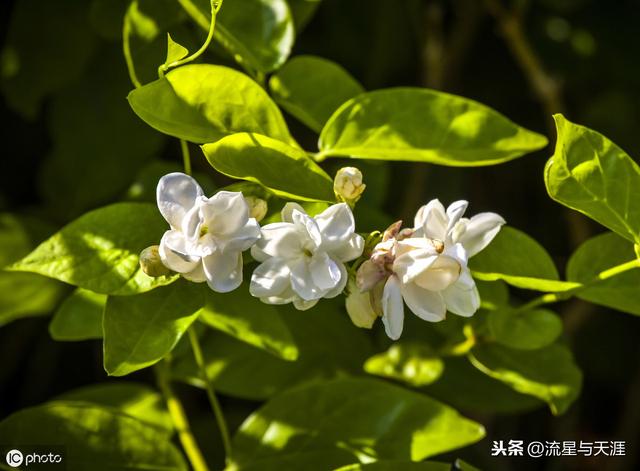 ������ȫ45�����ղ�������ʲô���������ã��͸�������������