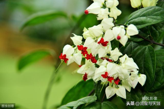 ������ȫ45�����ղ�������ʲô���������ã��͸�������������