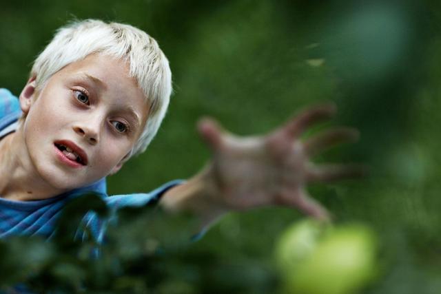 ���ݽ�����������ͨ����Ϯ��3������������ͨ����Ϯ������ֻҪ4��