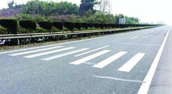 5���Ӷ���20�ֵ�·��ͨ��־�� ��̬ͼ���׶�