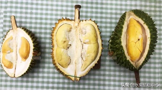 �ײ�ʱ�����ŵ����������������������ᣬèɽ��