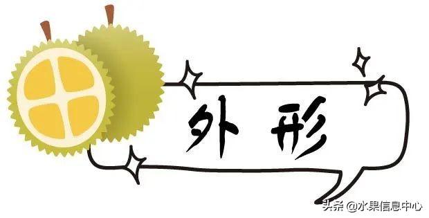 �ײ�ʱ�����ŵ����������������������ᣬèɽ��