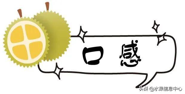 �ײ�ʱ�����ŵ����������������������ᣬèɽ��