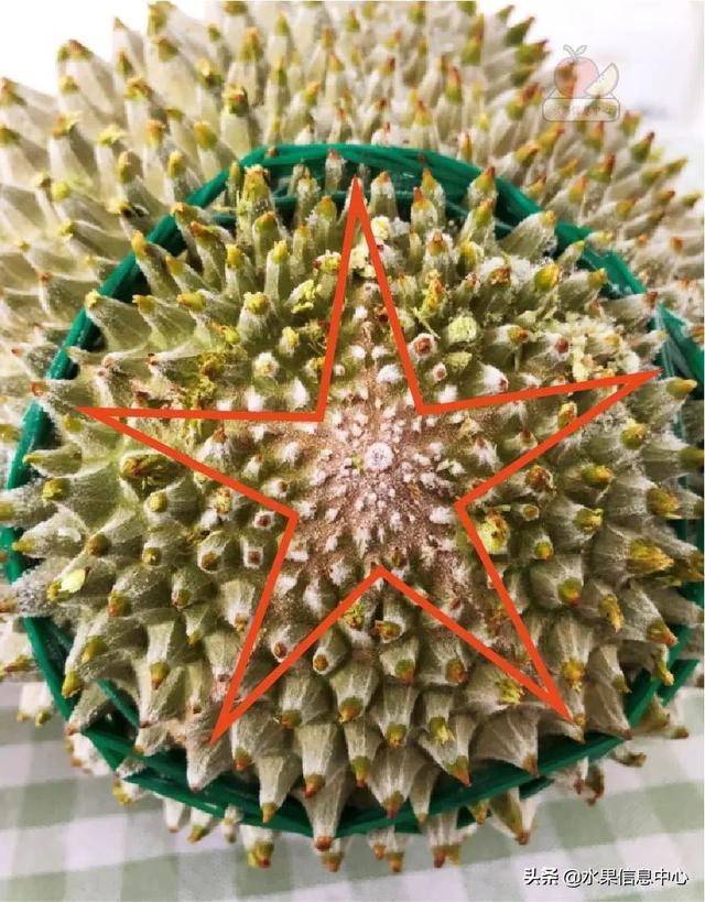 �ײ�ʱ�����ŵ����������������������ᣬèɽ��