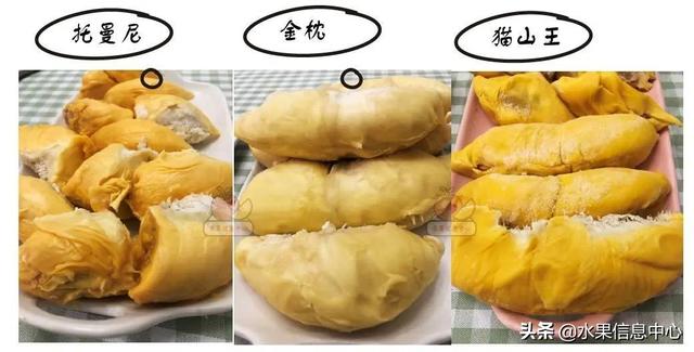 �ײ�ʱ�����ŵ����������������������ᣬèɽ��