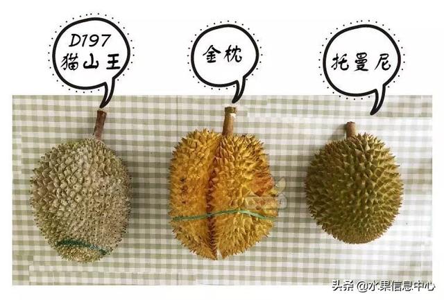 �ײ�ʱ�����ŵ����������������������ᣬèɽ��