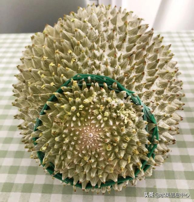 �ײ�ʱ�����ŵ����������������������ᣬèɽ��