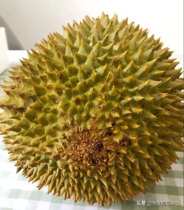 �ײ�ʱ�����ŵ����������������������ᣬèɽ��