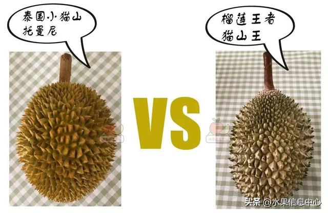 �ײ�ʱ�����ŵ����������������������ᣬèɽ��