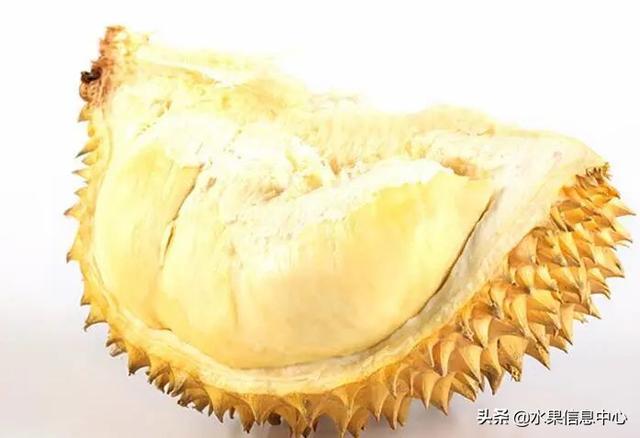 �ײ�ʱ�����ŵ����������������������ᣬèɽ��