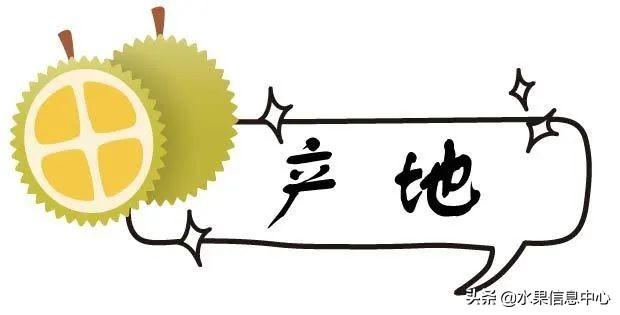 �ײ�ʱ�����ŵ����������������������ᣬèɽ��