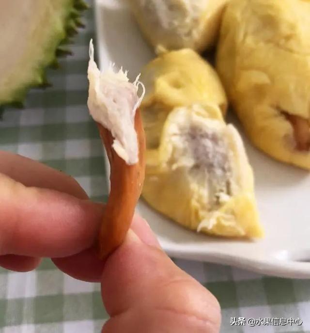 �ײ�ʱ�����ŵ����������������������ᣬèɽ��