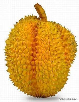 �ײ�ʱ�����ŵ����������������������ᣬèɽ��