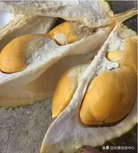 �ײ�ʱ�����ŵ����������������������ᣬèɽ��