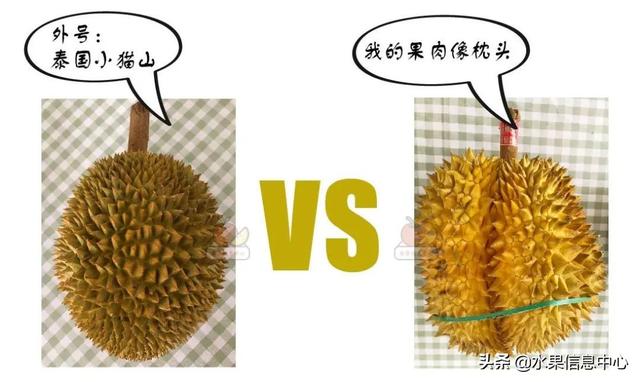 �ײ�ʱ�����ŵ����������������������ᣬèɽ��