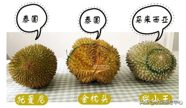 �ײ�ʱ�����ŵ����������������������ᣬèɽ��