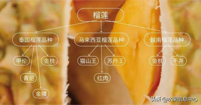 �ײ�ʱ�����ŵ����������������������ᣬèɽ��