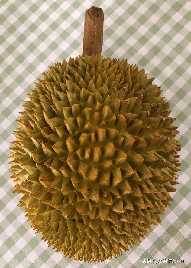 �ײ�ʱ�����ŵ����������������������ᣬèɽ��