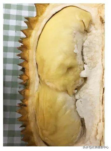 �ײ�ʱ�����ŵ����������������������ᣬèɽ��