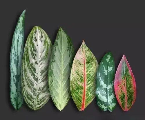 ���������ˣ�20������������һ�۾�ϲ����