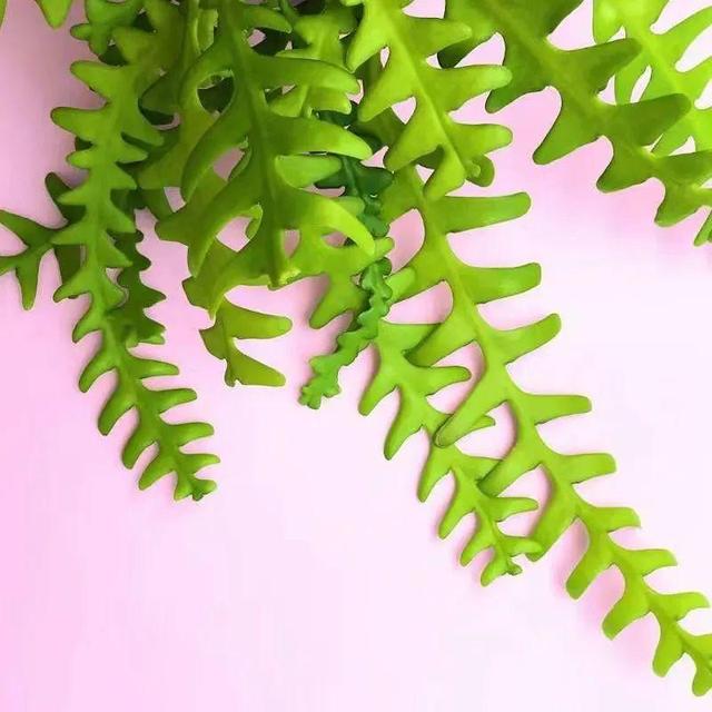 ���������ˣ�20������������һ�۾�ϲ����