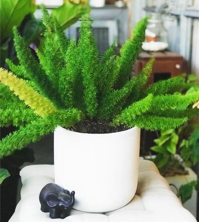 ���������ˣ�20������������һ�۾�ϲ����