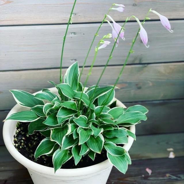 ���������ˣ�20������������һ�۾�ϲ����