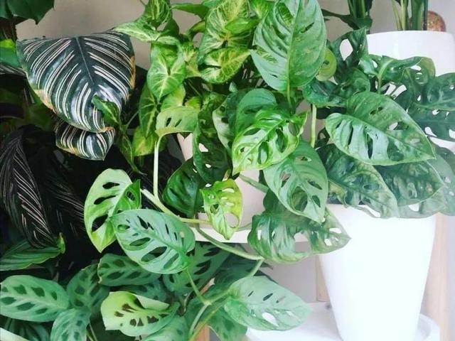 ���������ˣ�20������������һ�۾�ϲ����