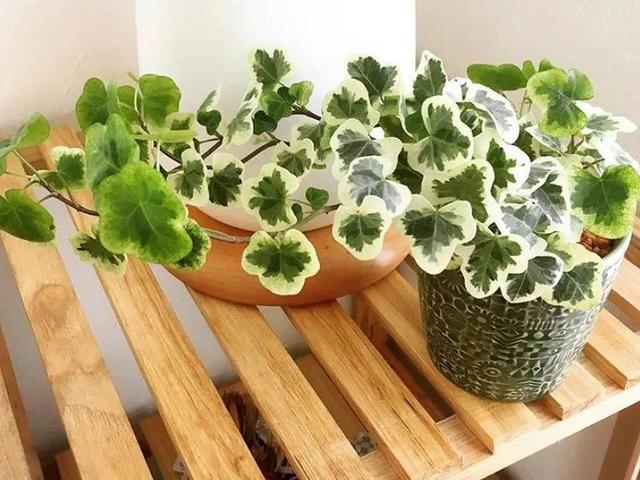 ���������ˣ�20������������һ�۾�ϲ����