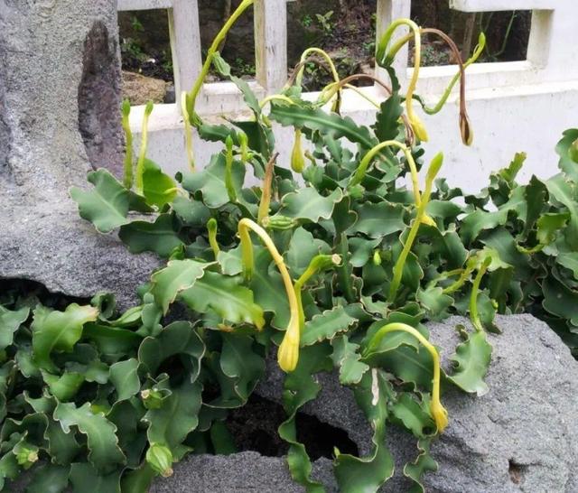 ���������ˣ�20������������һ�۾�ϲ����