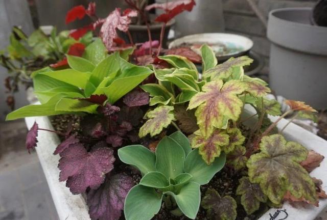 ���������ˣ�20������������һ�۾�ϲ����