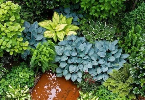 ���������ˣ�20������������һ�۾�ϲ����