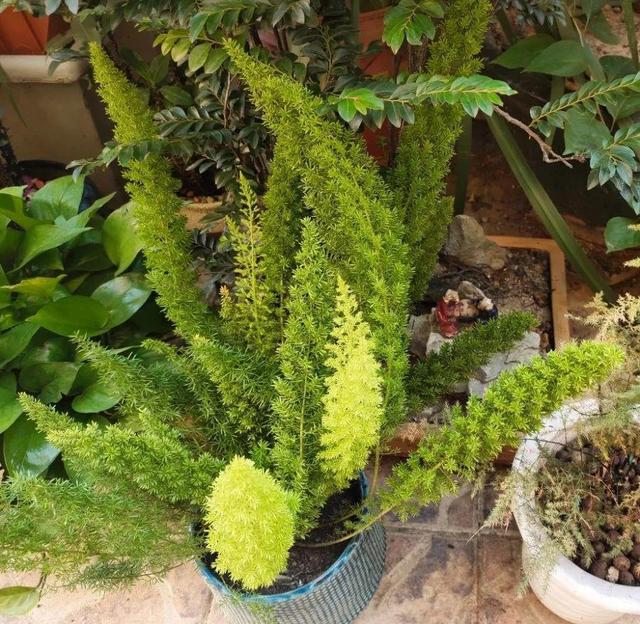 ���������ˣ�20������������һ�۾�ϲ����