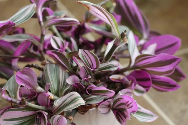 ���������ˣ�20������������һ�۾�ϲ����