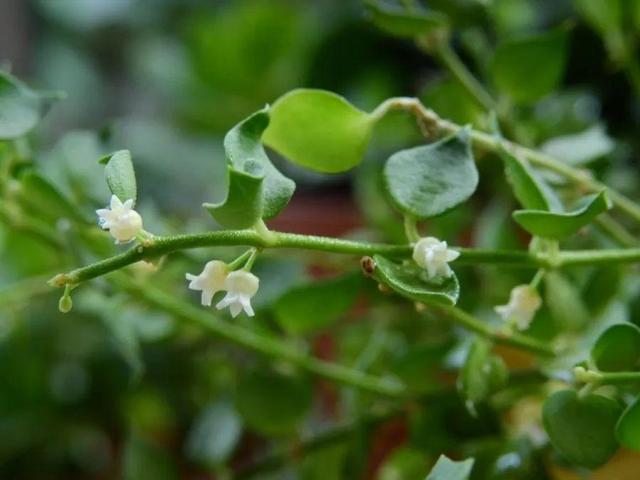 ���������ˣ�20������������һ�۾�ϲ����