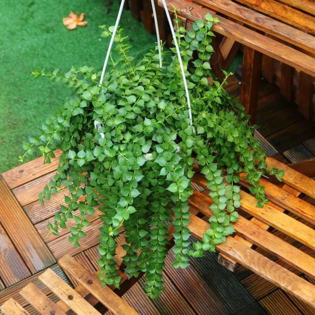 ���������ˣ�20������������һ�۾�ϲ����