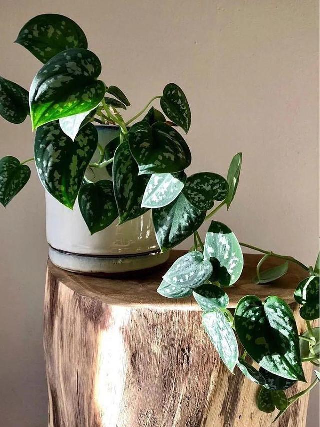 ���������ˣ�20������������һ�۾�ϲ����