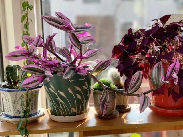 ���������ˣ�20������������һ�۾�ϲ����